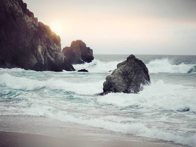 sudoku simple coloring screenshot 4